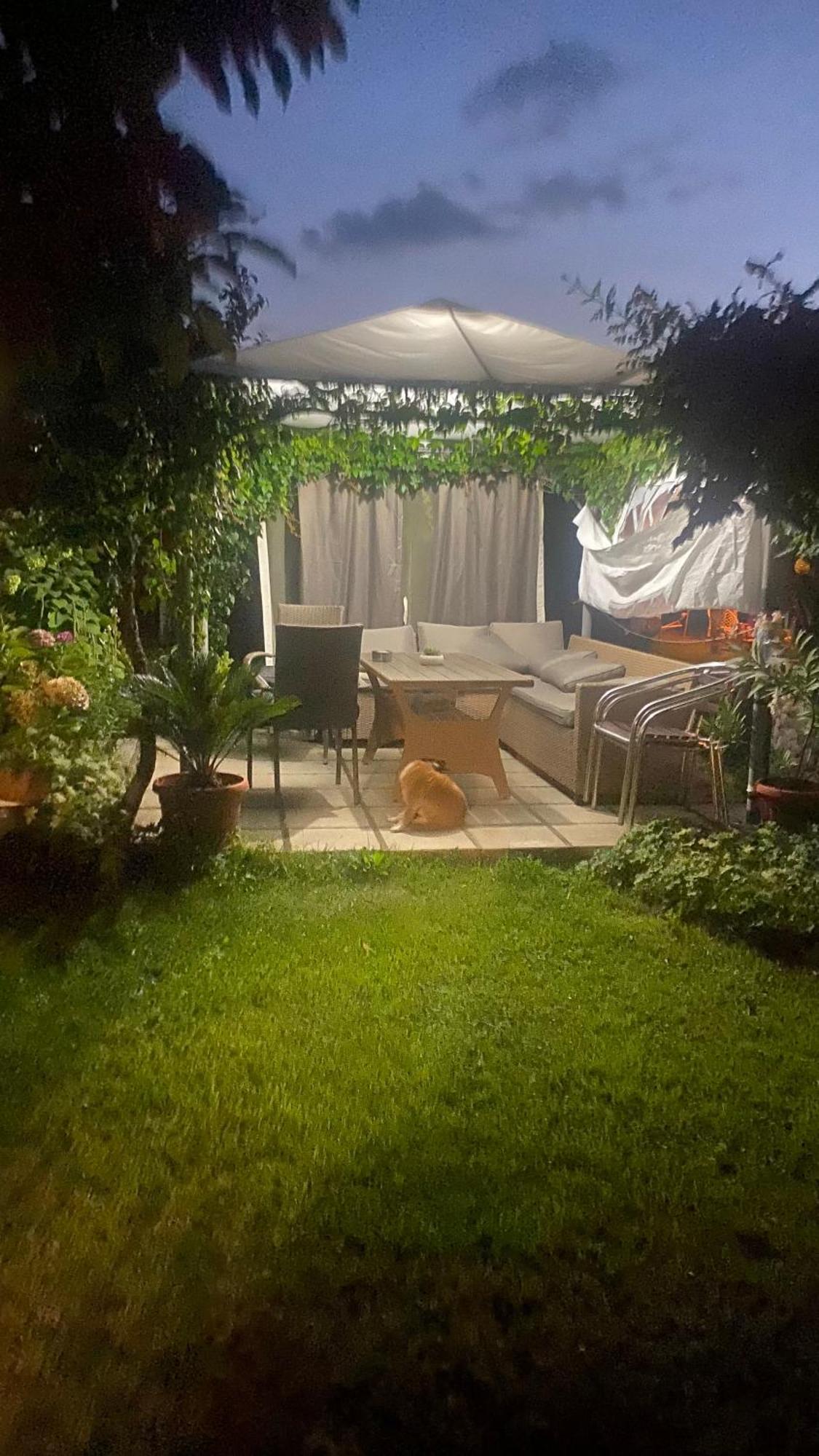 Guest House Simona ساباريفا بانيا المظهر الخارجي الصورة